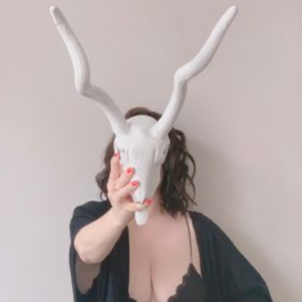Western Ceramic Bisque White Medium Faux Cow Skull wall Sculpture decorative